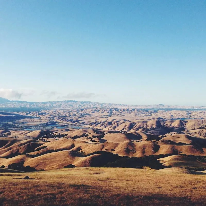 Collines dorées et herbes sèches à perte de vue sous un ciel bleu, en Californie