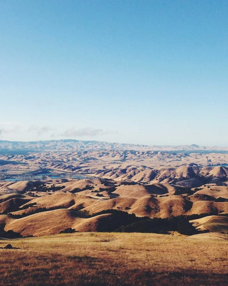 Collines dorées et herbes sèches à perte de vue sous un ciel bleu, en Californie