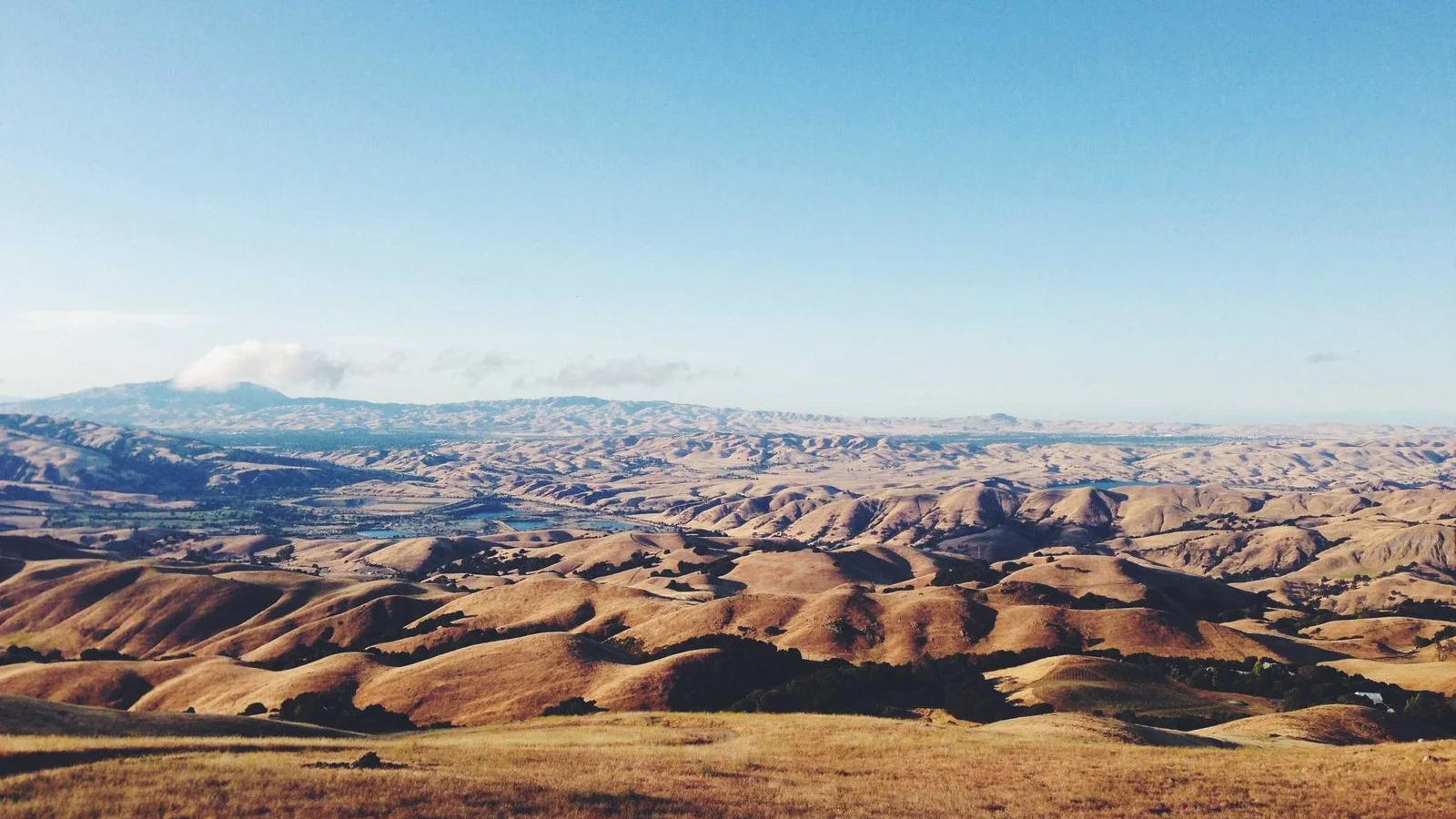 Collines dorées et herbes sèches à perte de vue sous un ciel bleu, en Californie
